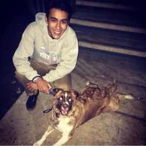 Meet your Posher, Benjamin